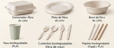 Contenedor de fibra de caña